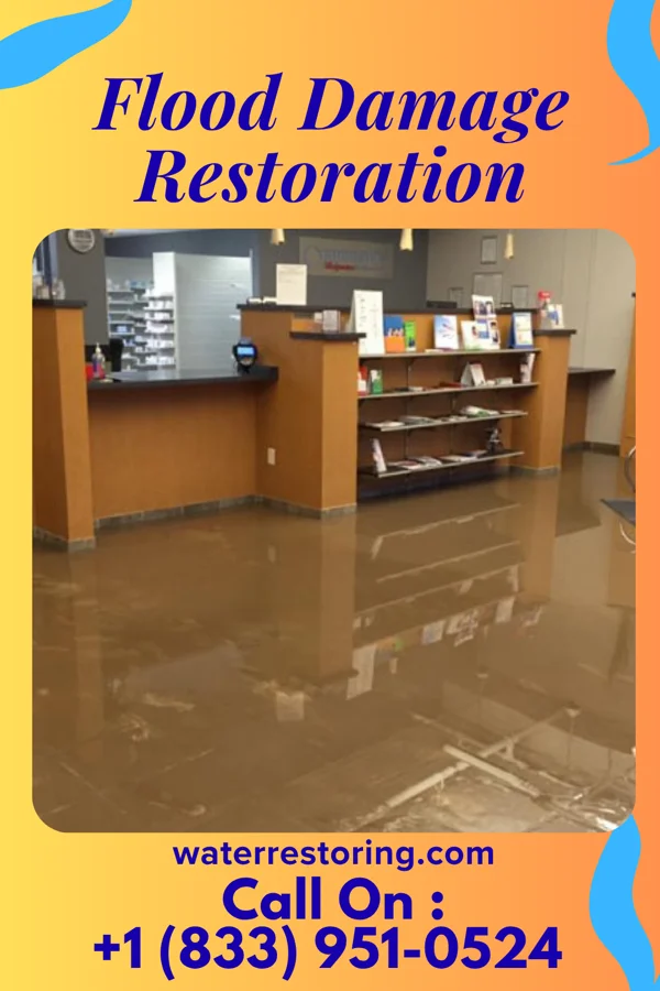 Flood Damage Restoration in Cumberland Head, NY